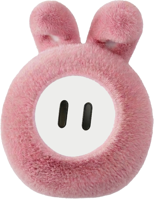 PlaiPin AI Companion